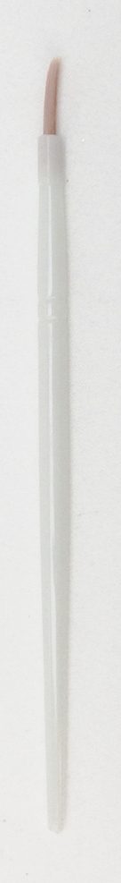 Disposable artist's brush